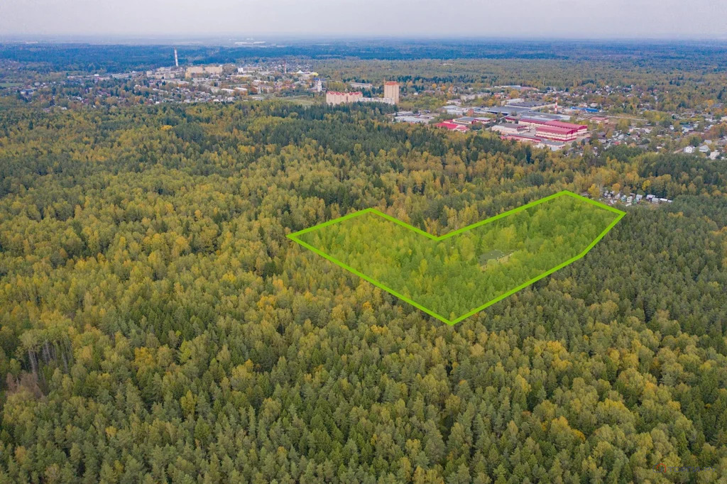 Продажа земельного участка, Лесной - Фото 6