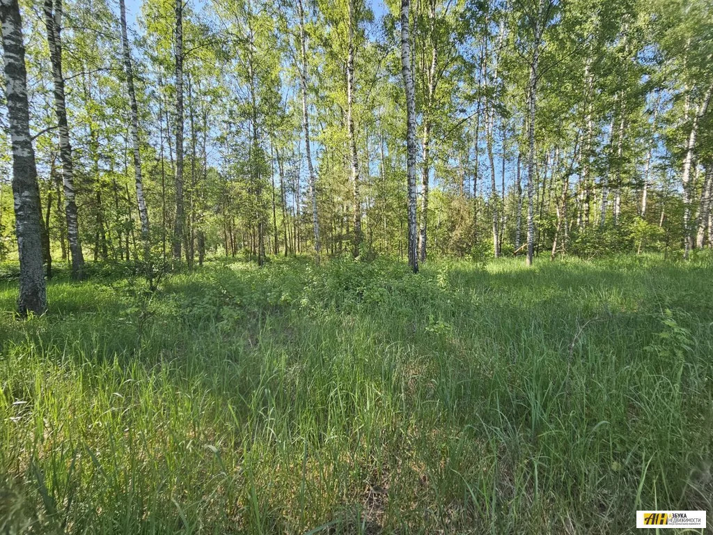 продажа участка, электроугли, богородский г. о, коттеджный посёлок . - Фото 1