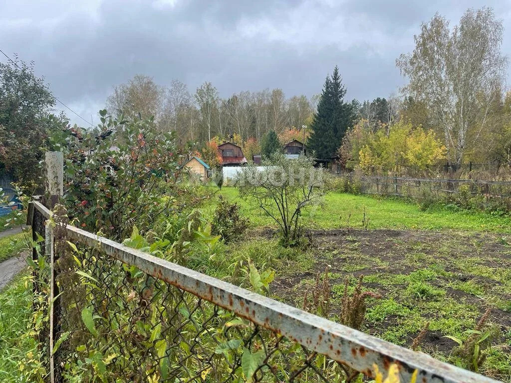 Продажа дома, Издревая, Новосибирский район - Фото 4