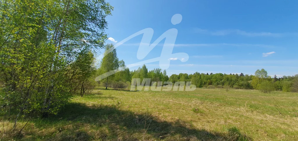Продажа участка, Наро-Фоминск, Наро-Фоминский район, Годуново д. - Фото 4