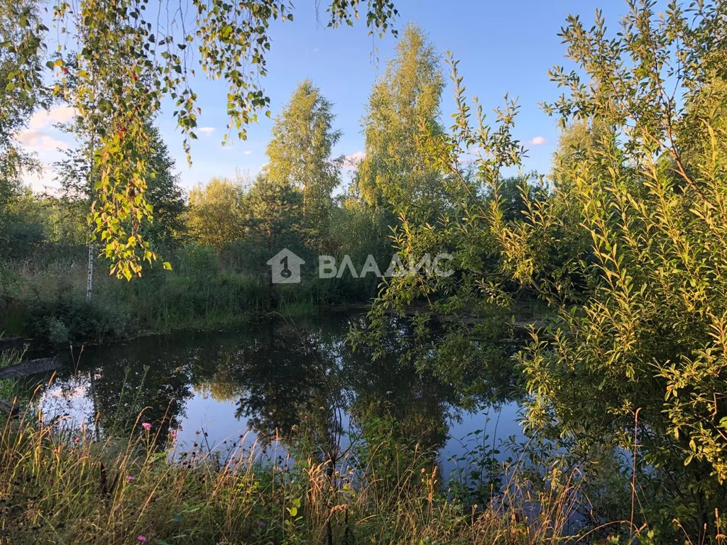 Лежневский район, деревня Козино,  дом на продажу - Фото 11