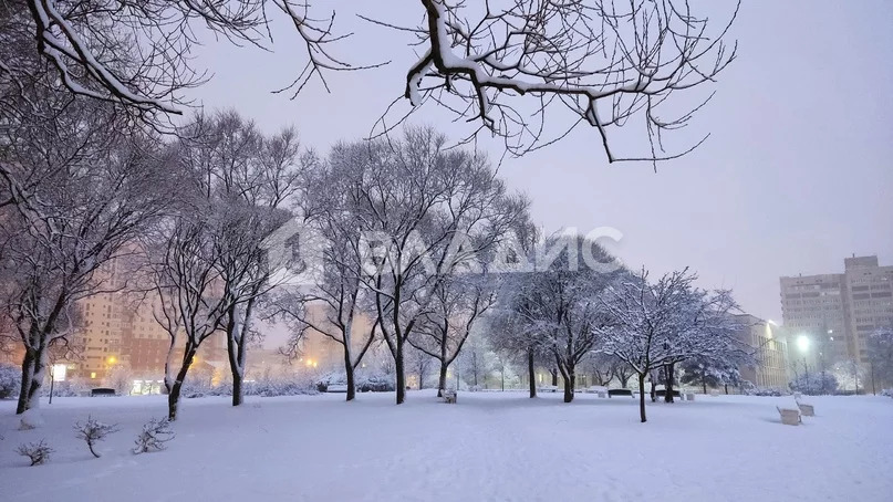 Санкт-Петербург, Придорожная аллея, д.15, комната на продажу - Фото 4
