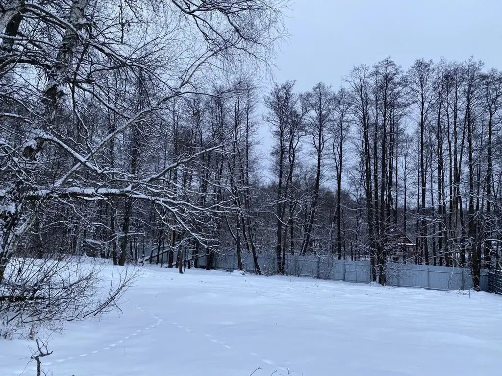 Лесной участок в коттеджном посёлке, 21 сотка, Финская деревня - Фото 1