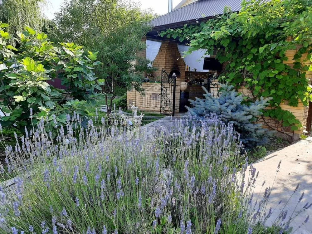 Продажа дома, Джубга, Туапсинский район, Солнечный пер. - Фото 5