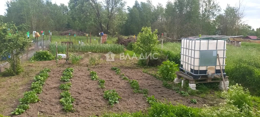 Петушинский район, деревня Болдино, Шоссейная улица,  дом на продажу - Фото 3