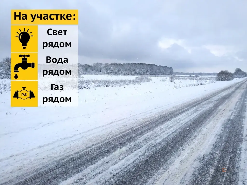 Продается земельный участок Жальское деревня - Фото 1