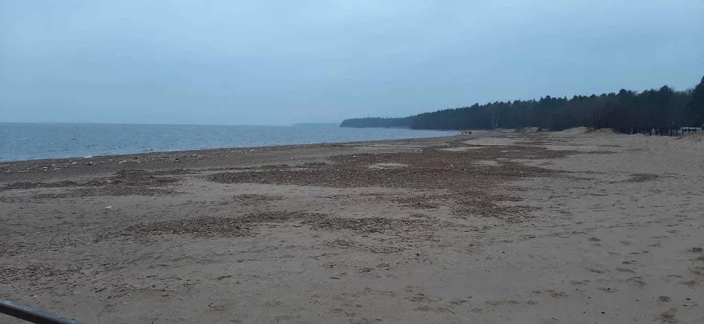 Купить Дом В Солнечное Курортный Район