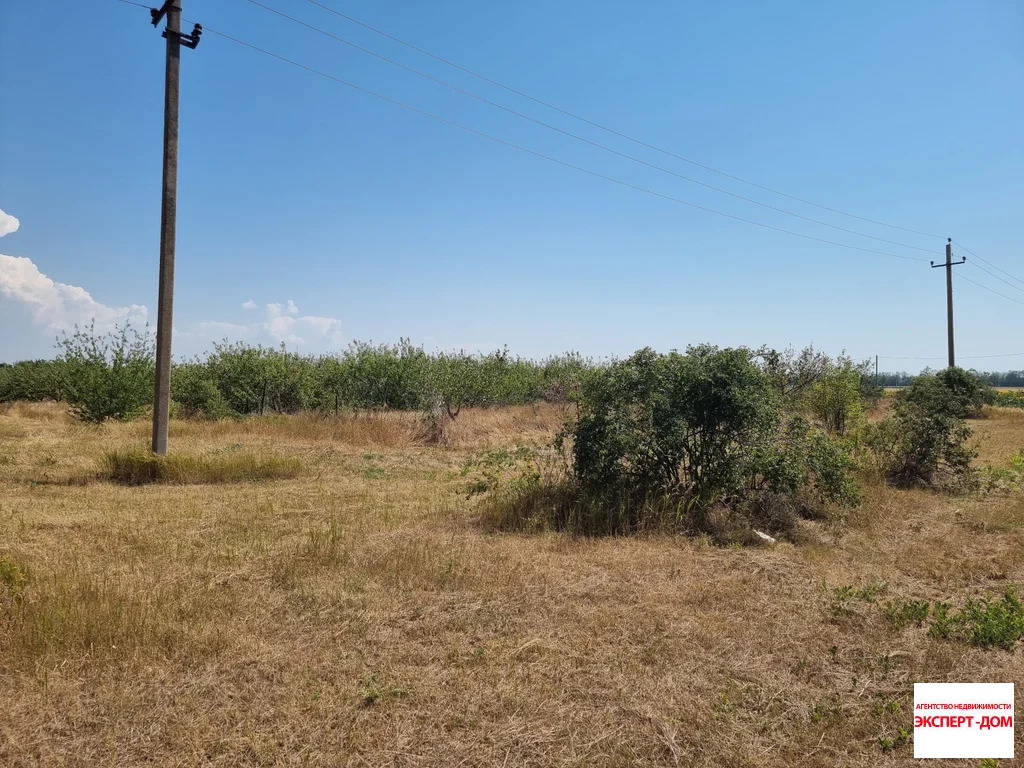Продажа участка, Ломакин, Неклиновский район, ул. Новая - Фото 9
