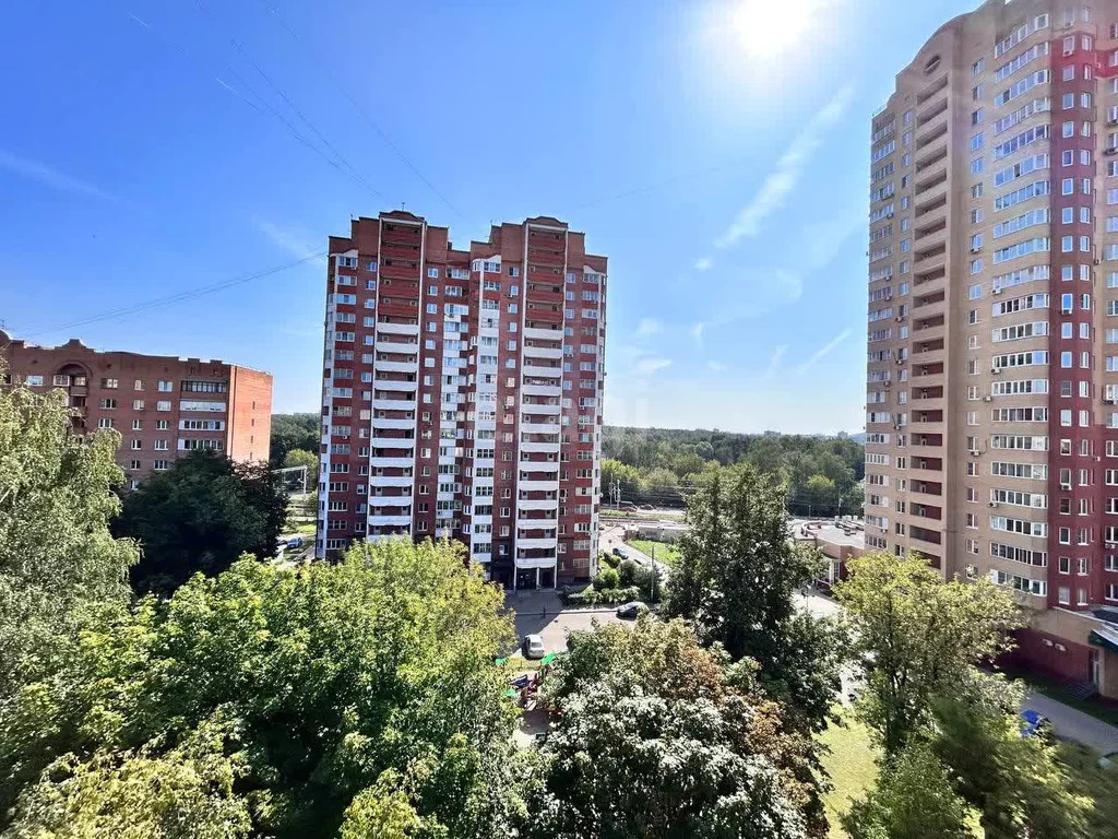 Продажа квартиры, Балашиха, Балашиха г. о., ул. Зеленая - Фото 33