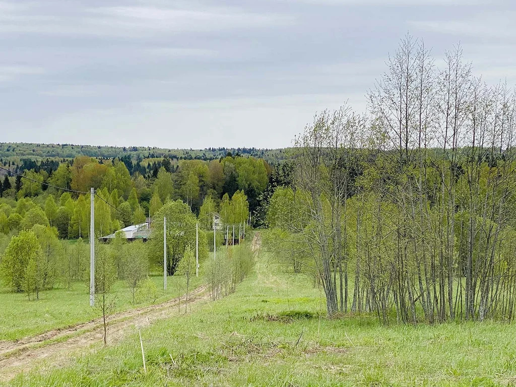 Продажа участка, Дмитровский район - Фото 1