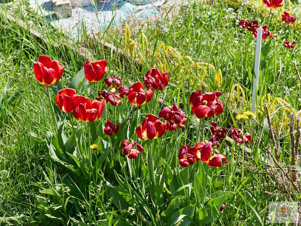 Продажа дома, Казань, тер. СДТ Смородинка - Фото 20