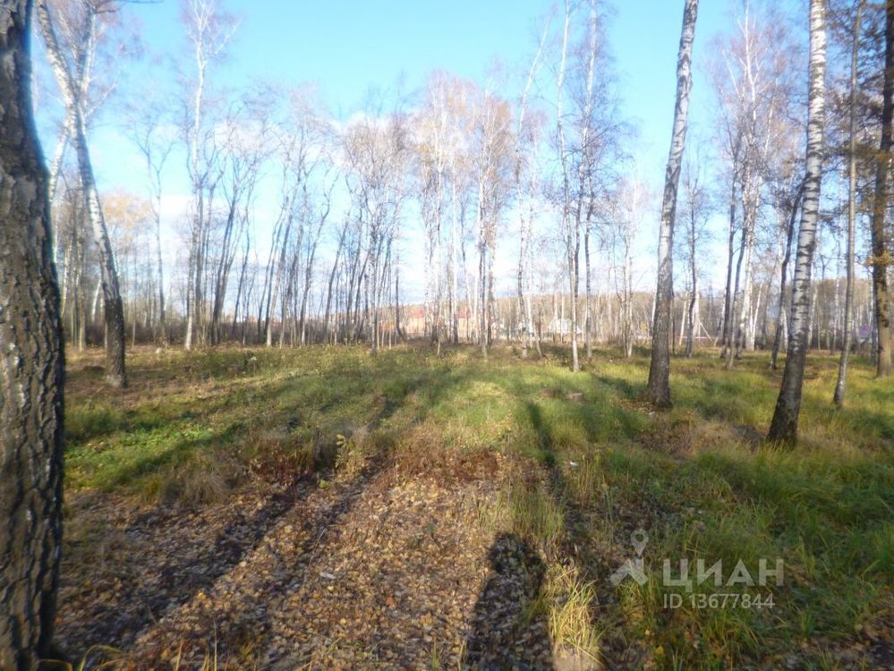 Купить Участок В Панино Чеховский Район