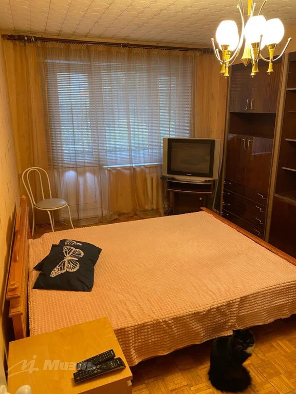 Объект 554538 - Фото 1