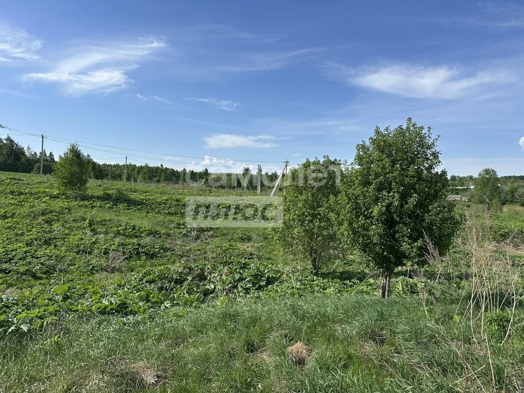 Продажа участка, Ивановка, Ленинский район - Фото 2