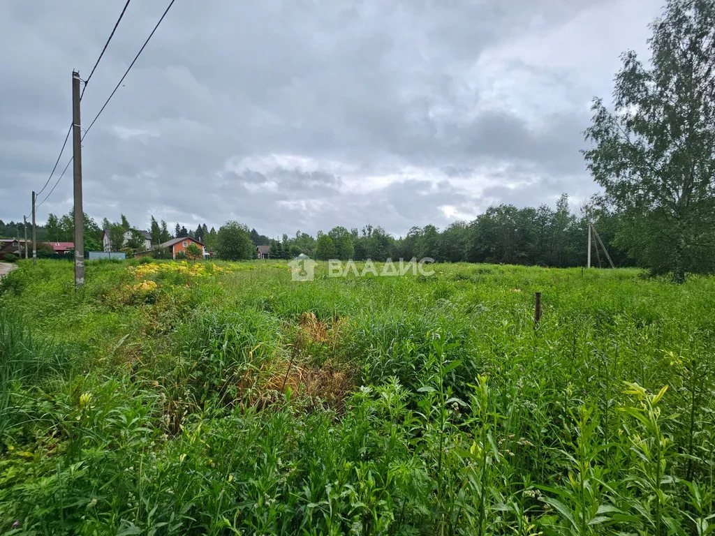 городской округ Клин, деревня Елино,  земля на продажу - Фото 5