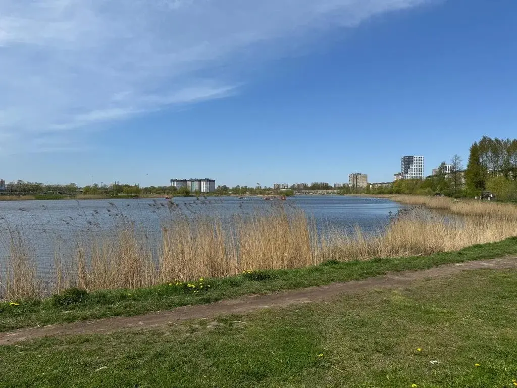 Квартира-студия, 15 м, 1/4 эт. - Фото 9