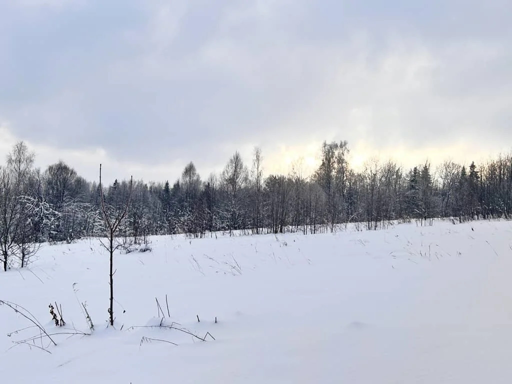 Продажа участка, Горбово, Дмитровский район - Фото 4