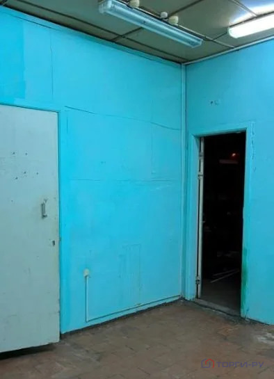 Продажа торгового помещения, Благовещенск, Благовещенский район, ул. ... - Фото 3