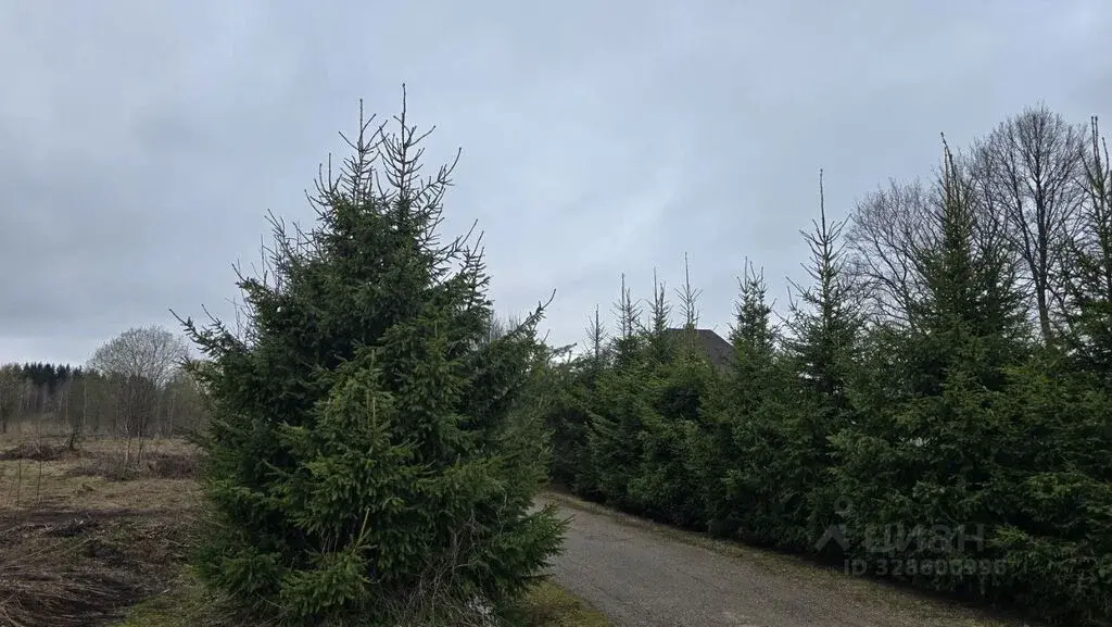 Продажа участка 19.72 га Московская область, Истра муниципальный ... - Фото 2