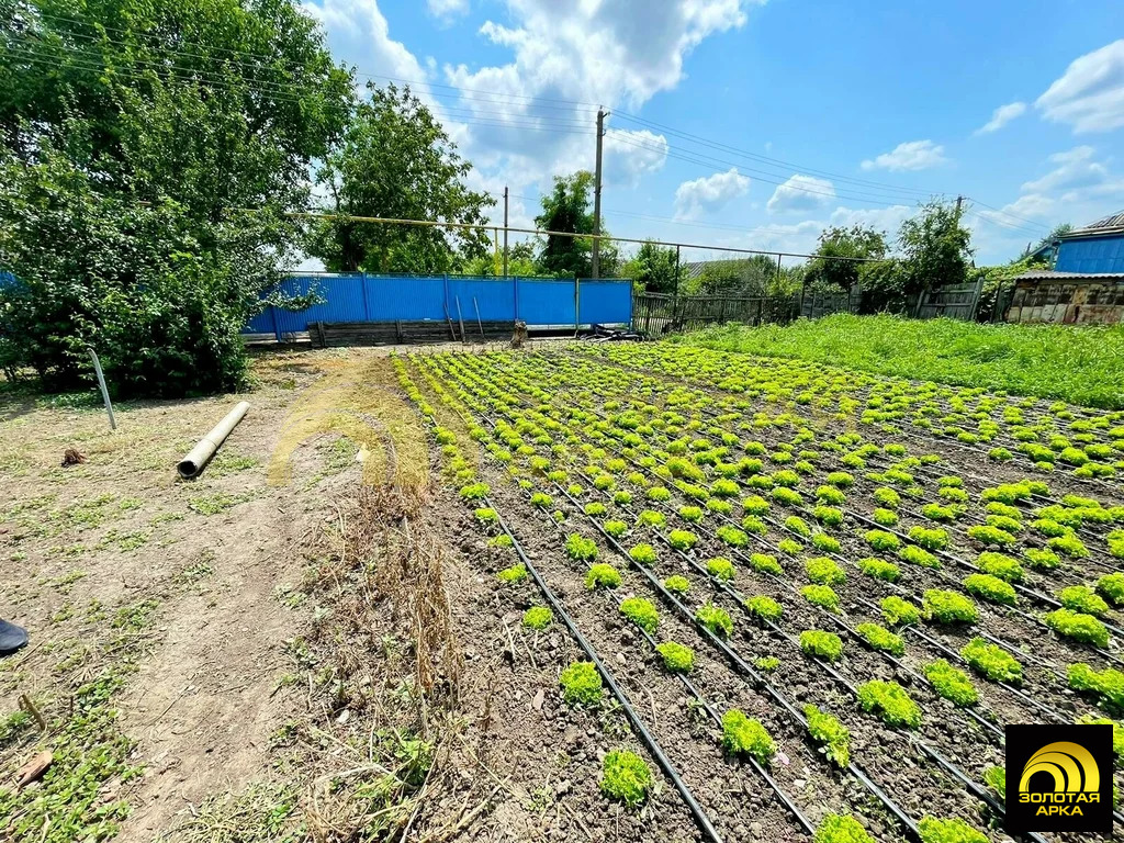 Продажа дома, Полтавская, Красноармейский район, ул. Красная - Фото 13