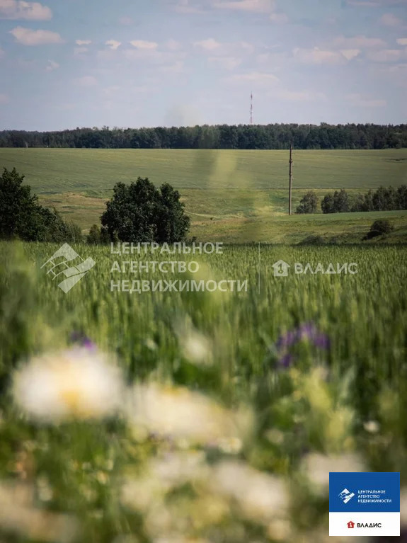 Продажа участка, Дубняки, Рязанский район - Фото 2