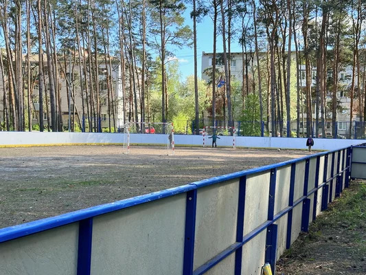 Продам однокомнатную (1-комн.) квартиру, 4, Дружный п - Фото 26