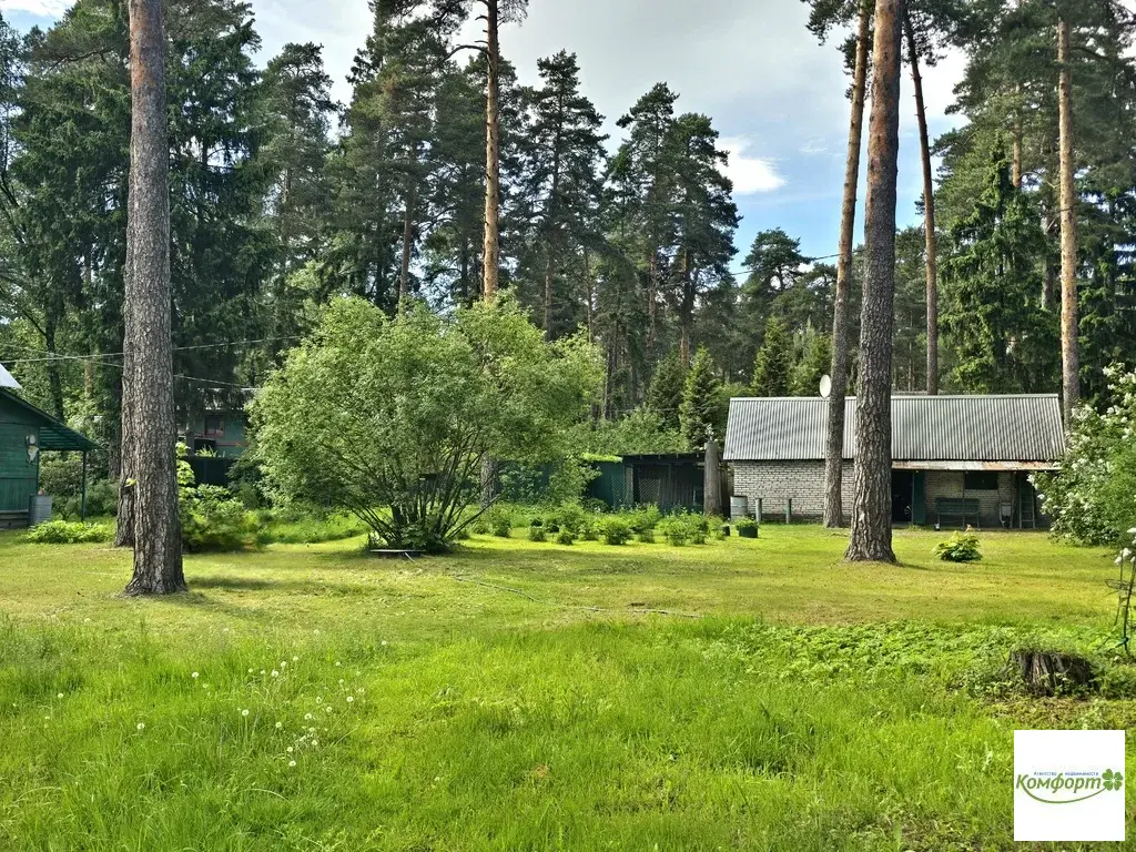 Продается участок 30 сот. в черте гор. Раменское, ул. Сосновая, уч.10 - Фото 8