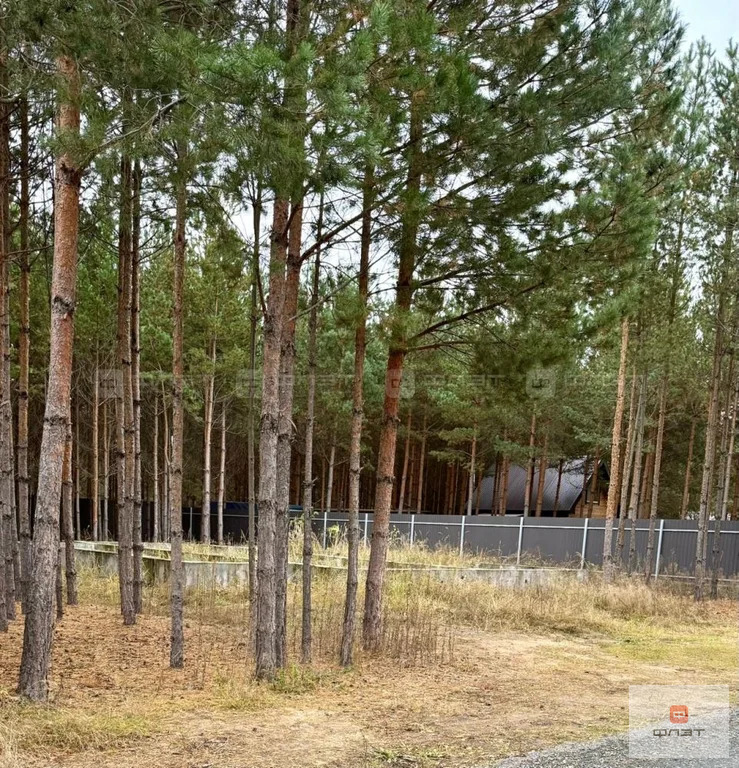 Продажа участка, Орел, Лаишевский район, ул. Ясная - Фото 5