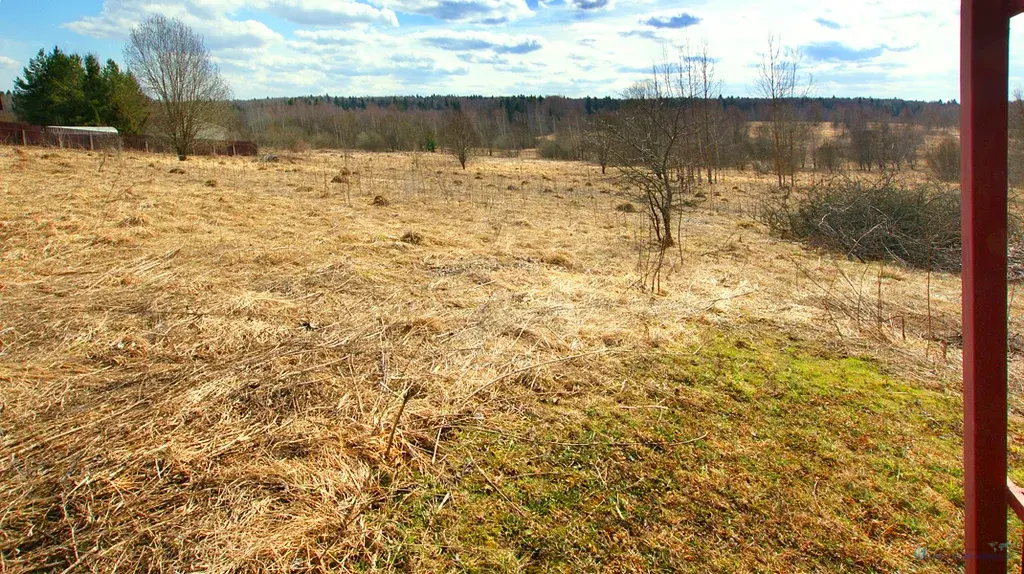 30 соток в деревне Фёдлово Волоколамского района Новорижского р-на МО - Фото 4