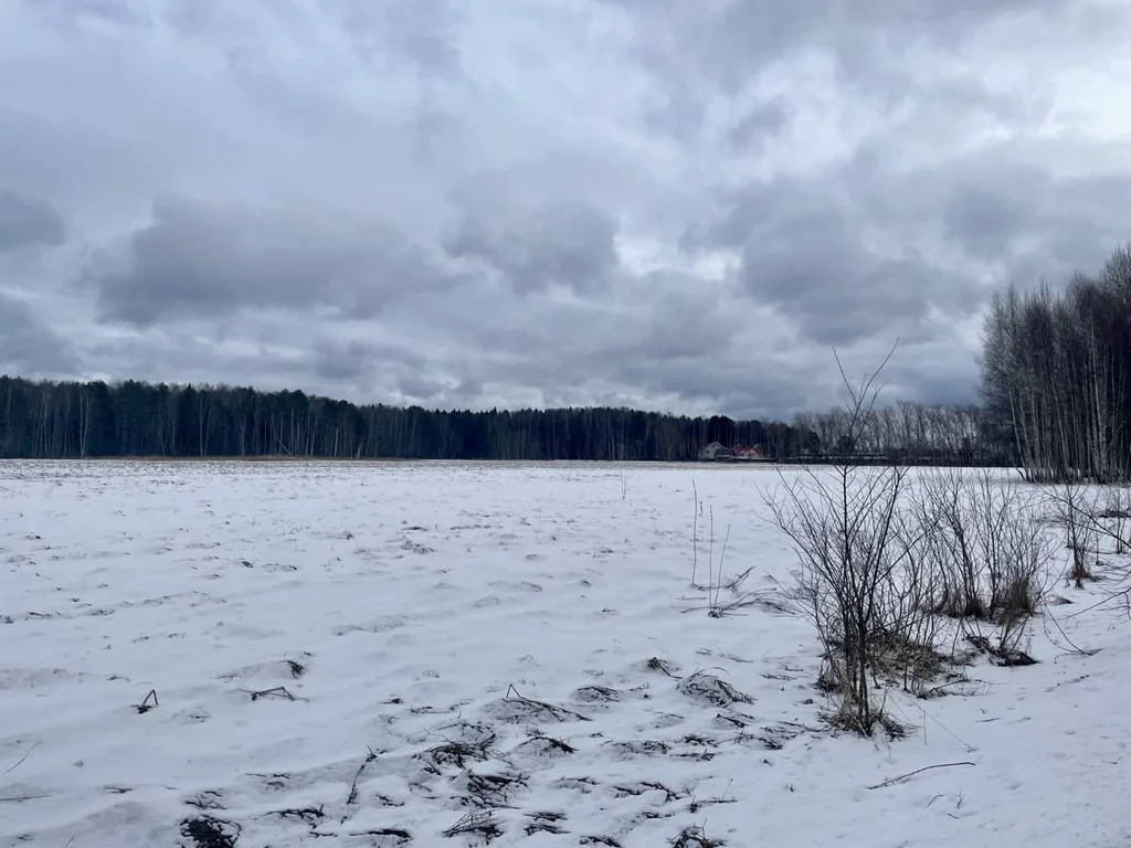 Продажа участка, Княжево, Волоколамский район - Фото 1