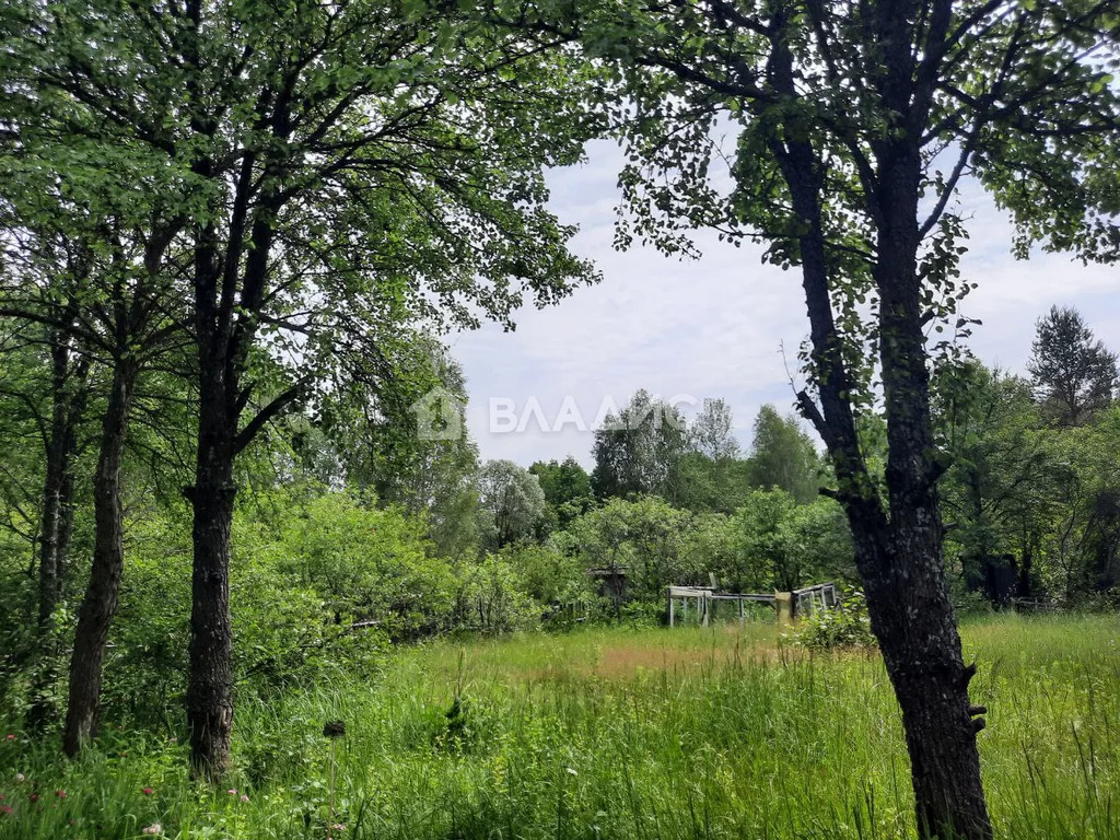 Судогодский район, деревня Луньково, Центральная улица, дом на . - Фото 10