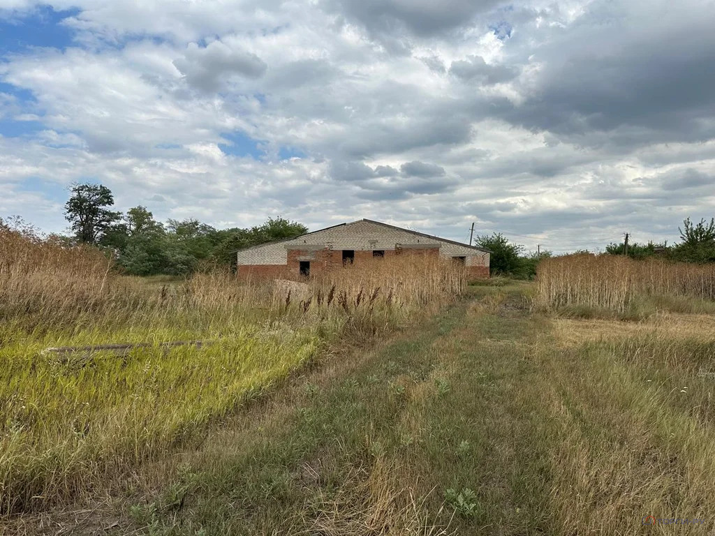 Продажа производственного помещения, Раздольное, Новоалександровский ... - Фото 9