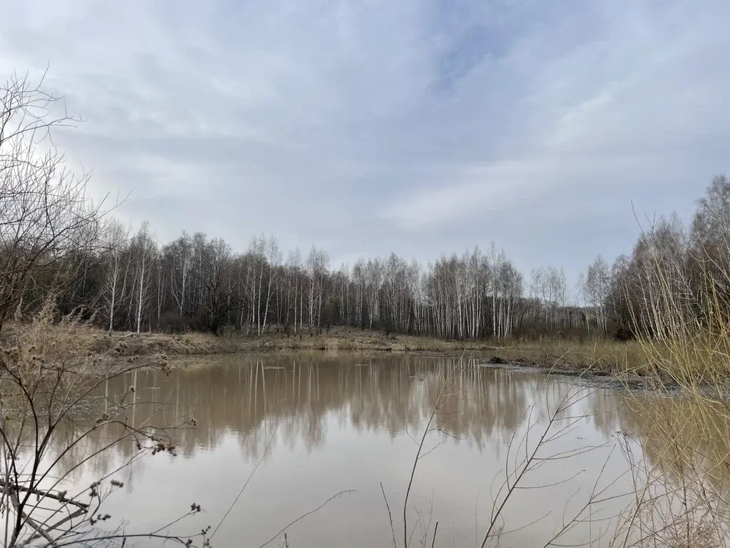 Участок в деревне, в тихом месте - Фото 7