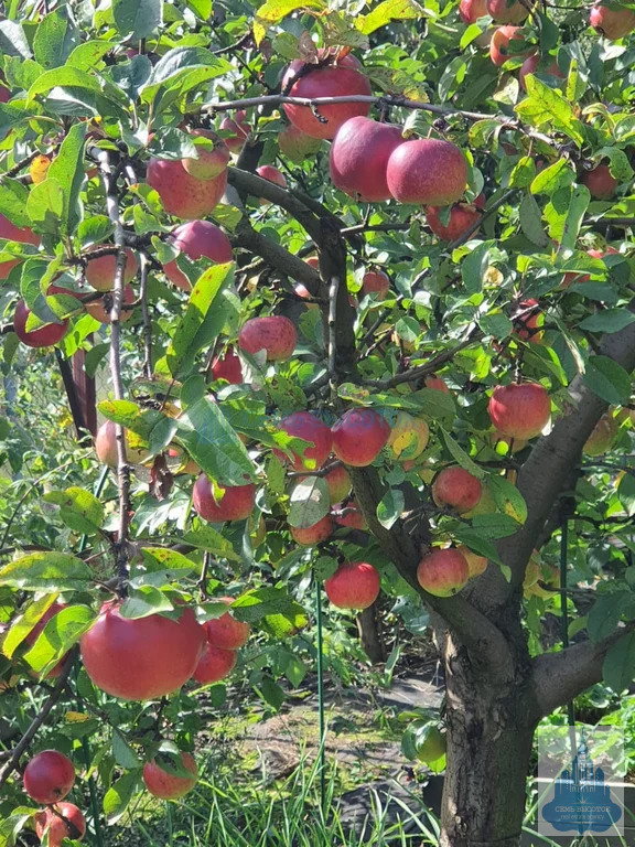 Продажа дома, Подольский район, 12 - Фото 33