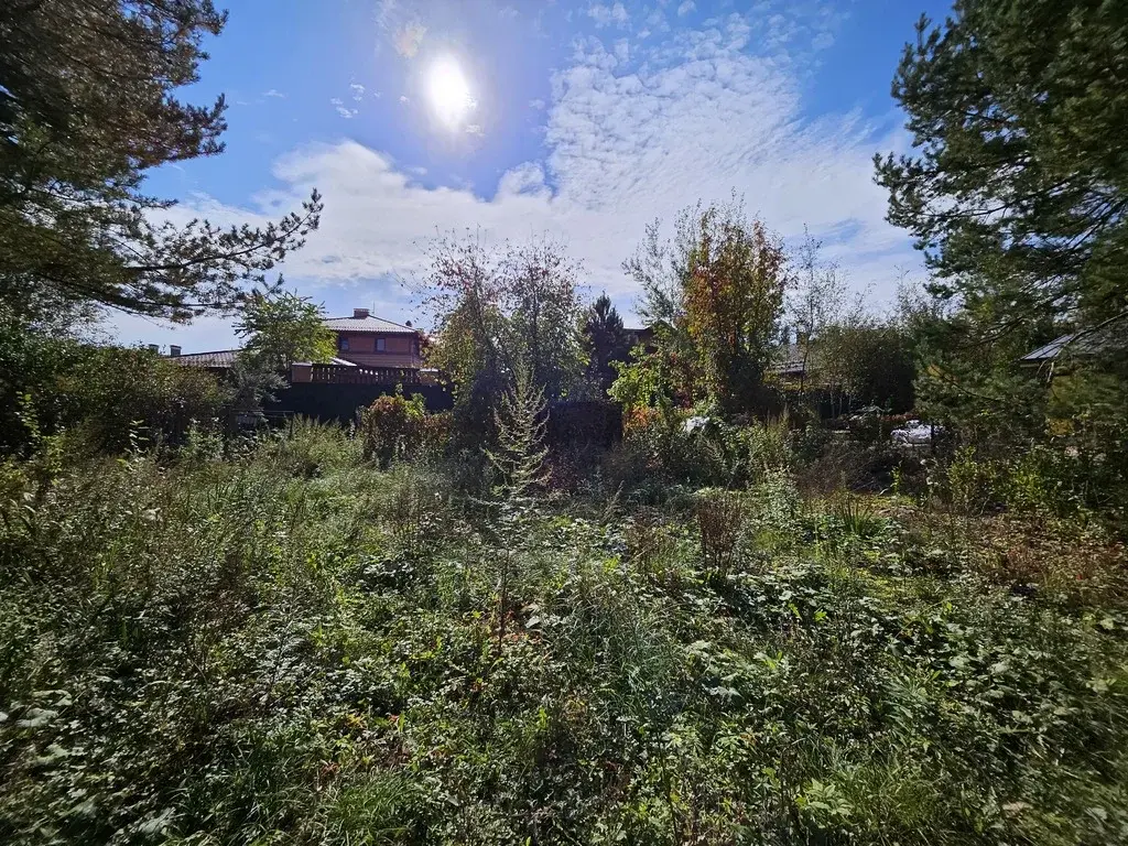 Продажа участка в Новой Москве, СНТ Газовик - Фото 14