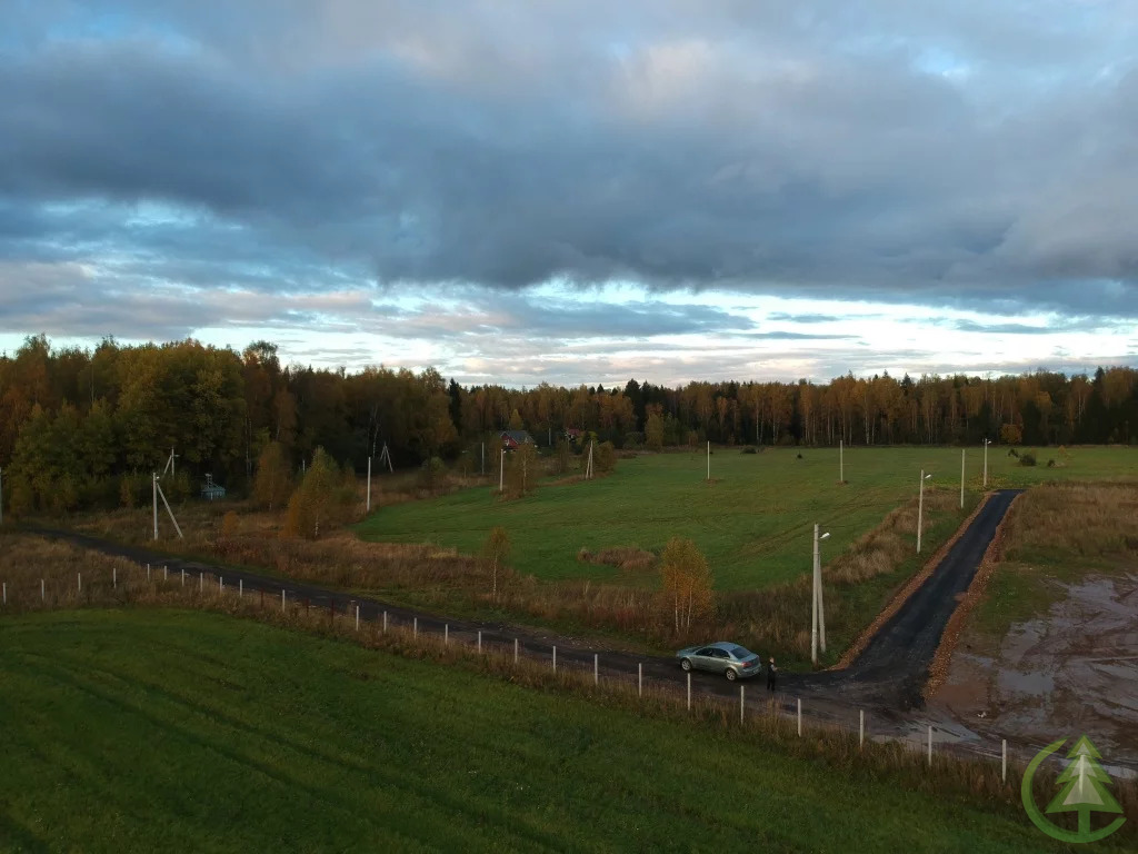 Деревня повадино солнечногорский район фото