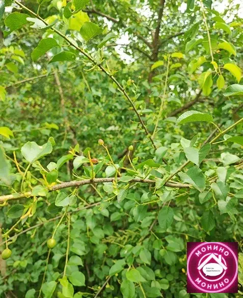 Продам дачу. - Фото 9