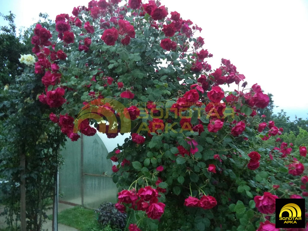 Продажа дома, Холмская, Абинский район, ул. Ленина - Фото 27