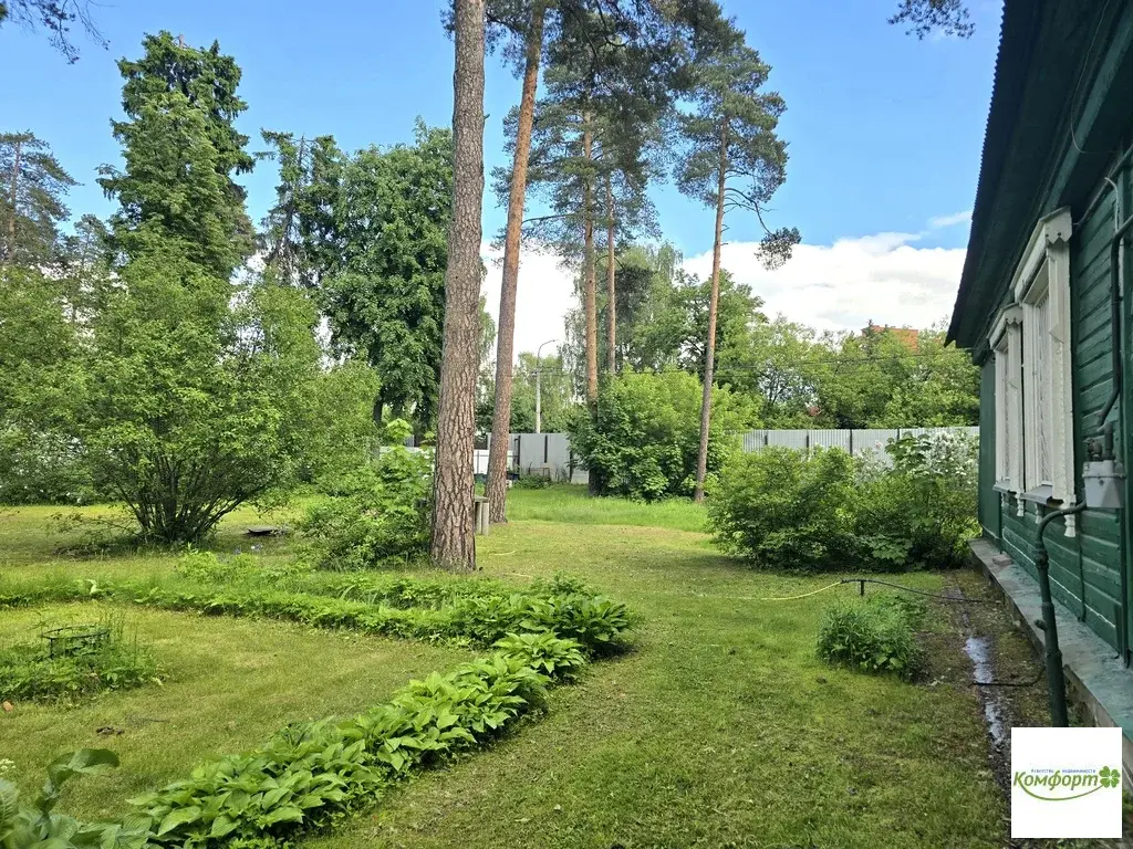 Продается участок 30 сот. в черте гор. Раменское, ул. Сосновая, уч.10 - Фото 6