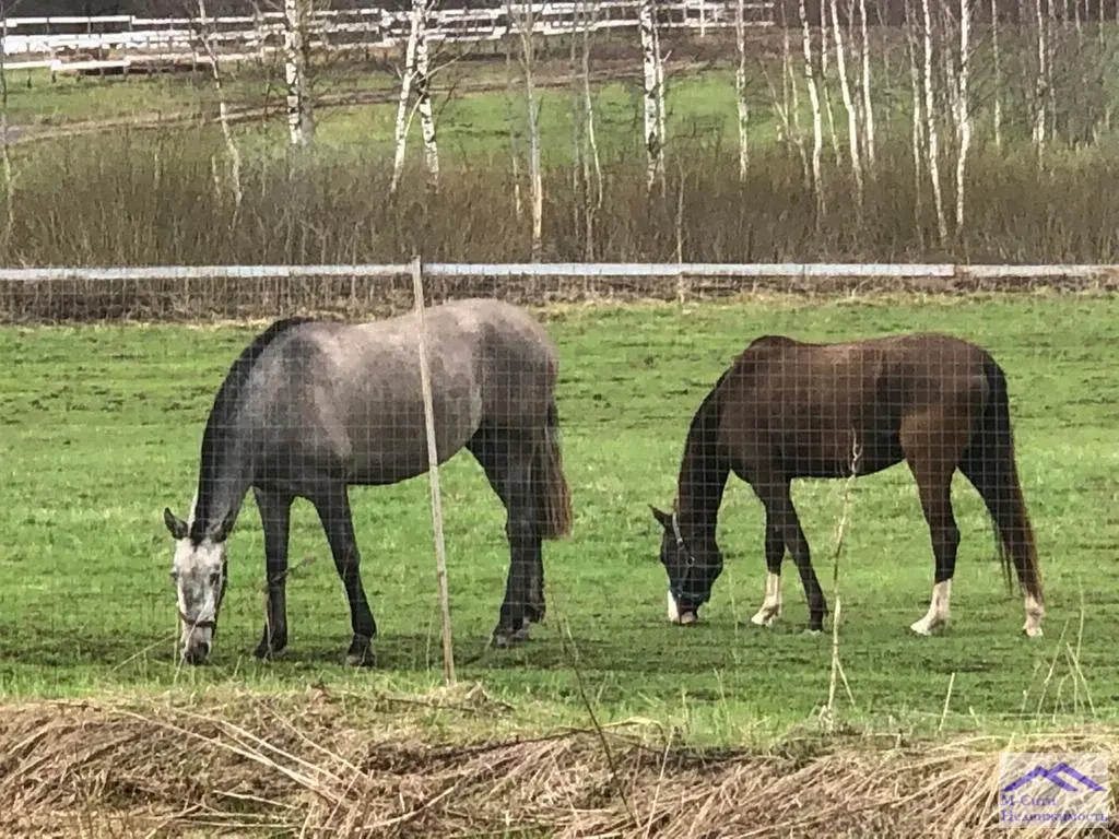 Продам участок 12  соток в Хрустали Малоярославецкого района. - Фото 8