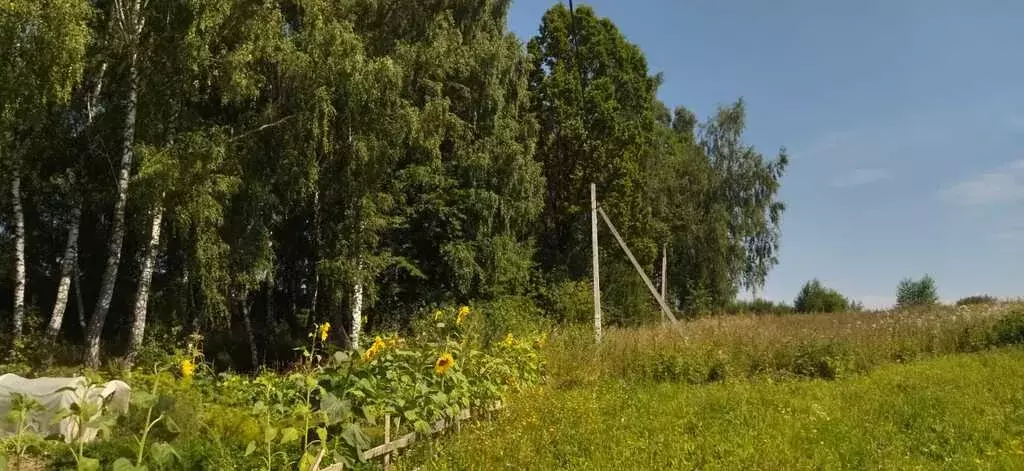 Продается земельный участок в деревне. - Фото 0