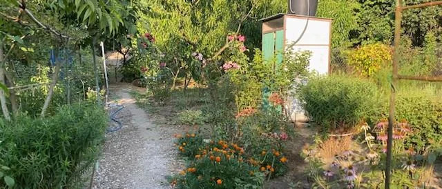 Продажа дома, Адербиевка, ул. Октябрьская - Фото 12