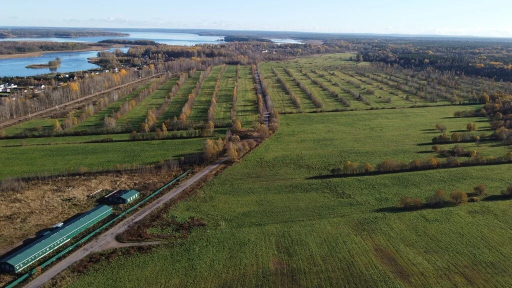 Продажа участка, Барышево, Выборгский район - Фото 1