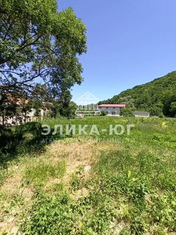 Продажа участка, Пляхо, Туапсинский район, Курортная ул. - Фото 6