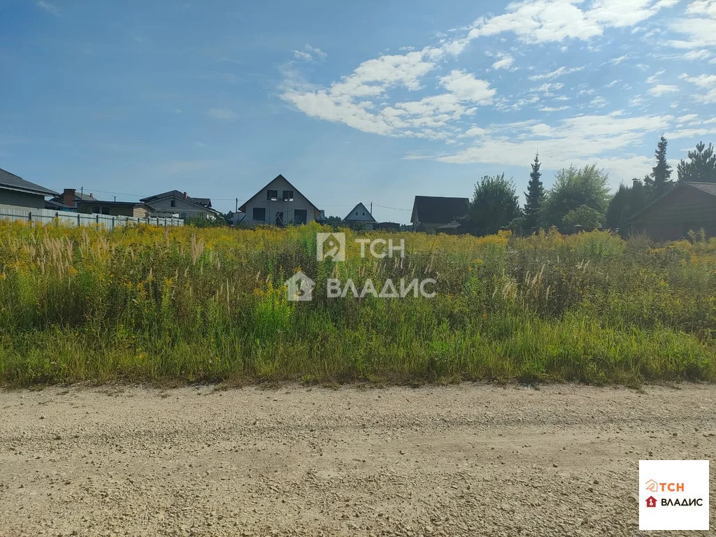 городской округ Щёлково, деревня Вторая Алексеевка, 1-я Радиальная ... - Фото 7