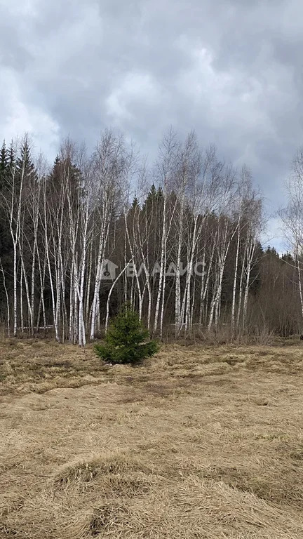 Троицкий административный округ, ДНП Европейская Долина-2, квартал № ... - Фото 2