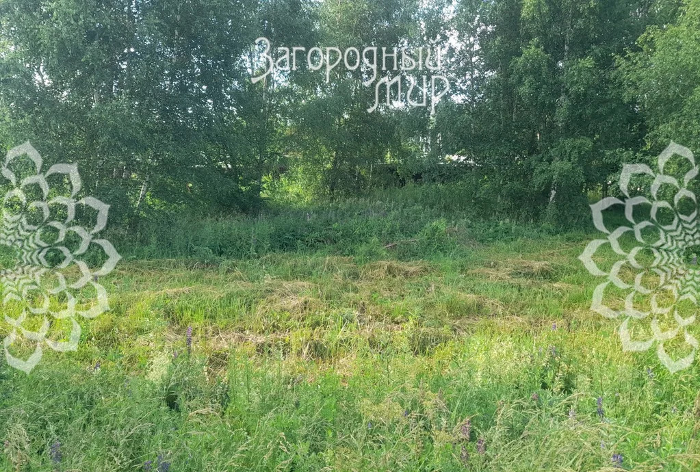 Продам участок, Дмитровское шоссе, 80 км от МКАД - Фото 2