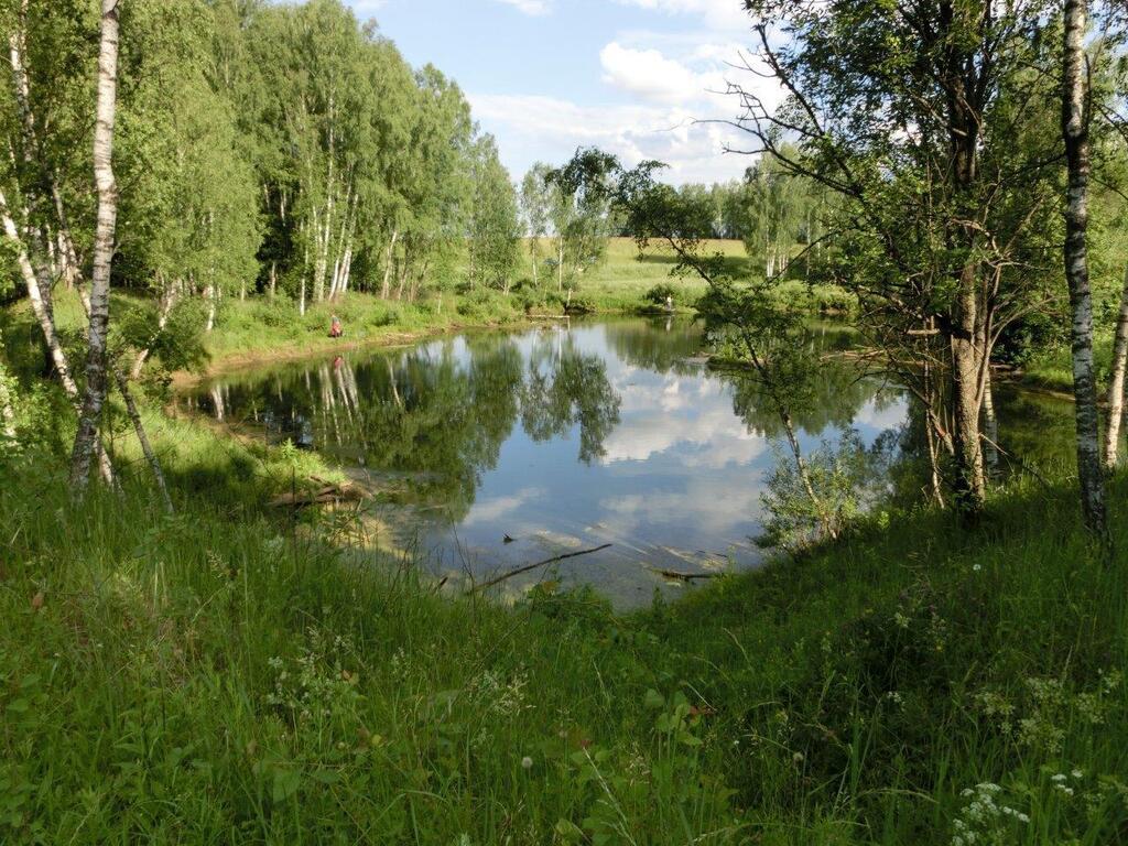 Озеро в домодедовском районе. Озеро в домодедовском районе. Озеро в домодедовском районе. Озеро в домодедовском районе. Озеро в домодедовском районе.