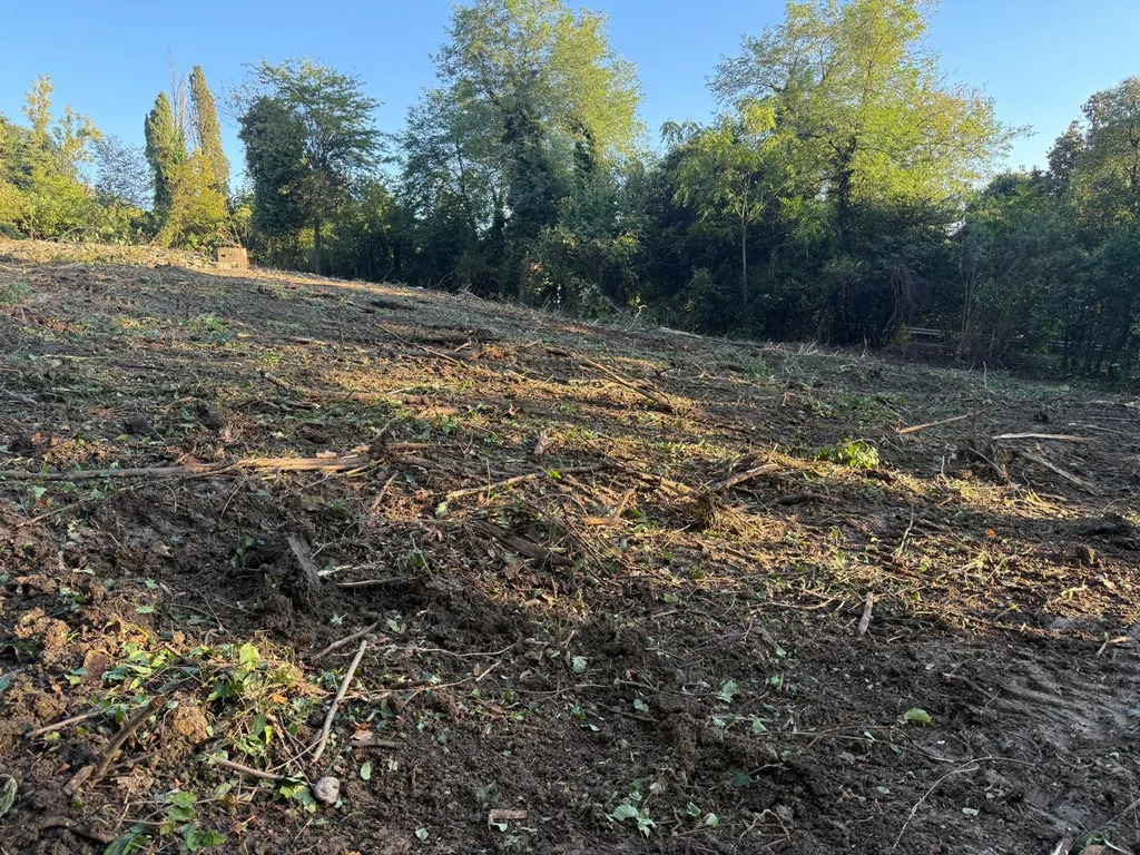 Продается земельный участок 24 сот. - Фото 5