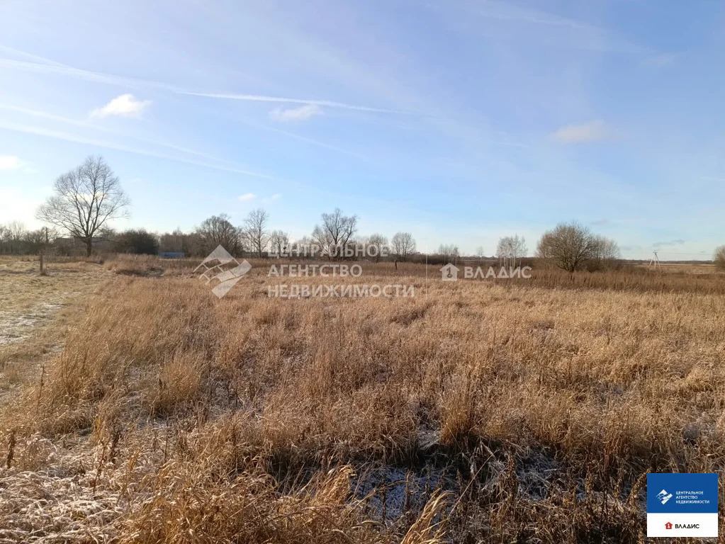 Продажа участка, Житово, Рыбновский район - Фото 8